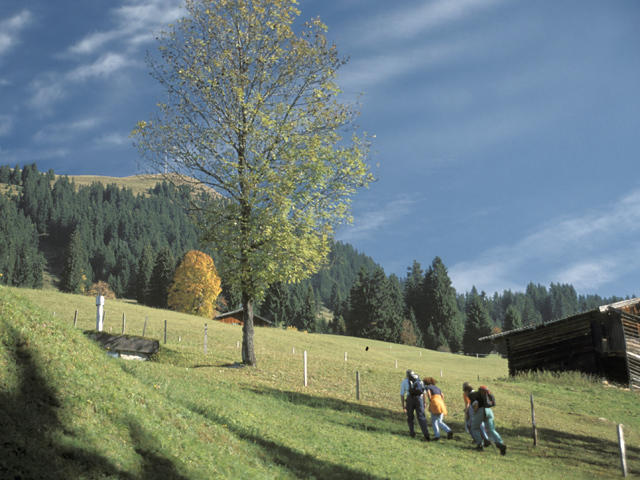 Neukumhof Apartman Westendorf Kültér fotó